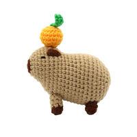 DIY Crochet Kit