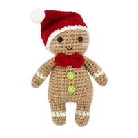 DIY Crochet Kit