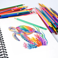 Coloured Pencil Set - 120pc