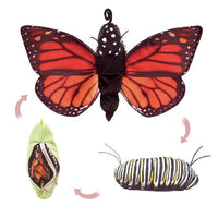 Monarch Life Cycle Puppet