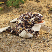 Desert Rain Frog Puppet