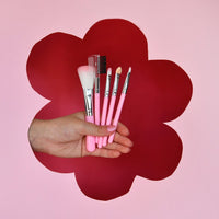 Mini Make Up Brush Kit