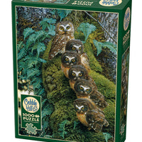 1000 Piece Jigsaw Puzzle