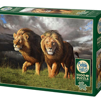 1000 Piece Jigsaw Puzzle