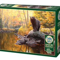 1000 Piece Jigsaw Puzzle