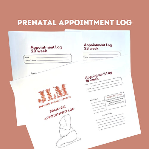 Prenatal Appointment Log