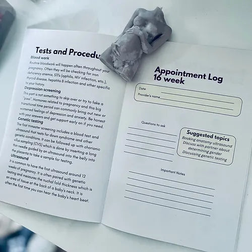 Prenatal Appointment Log