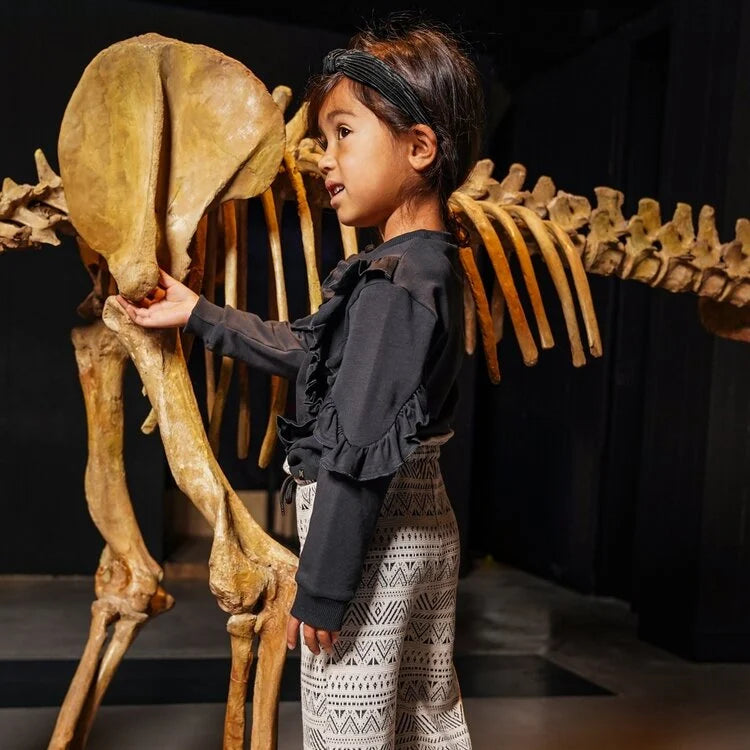 Girls Ruffled Sweater