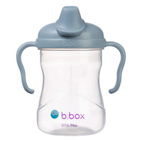 Spout Sippy Cup
