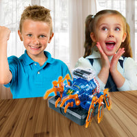 Connex - Robotic Spider