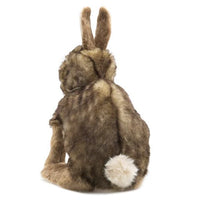 Cottontail Rabbit