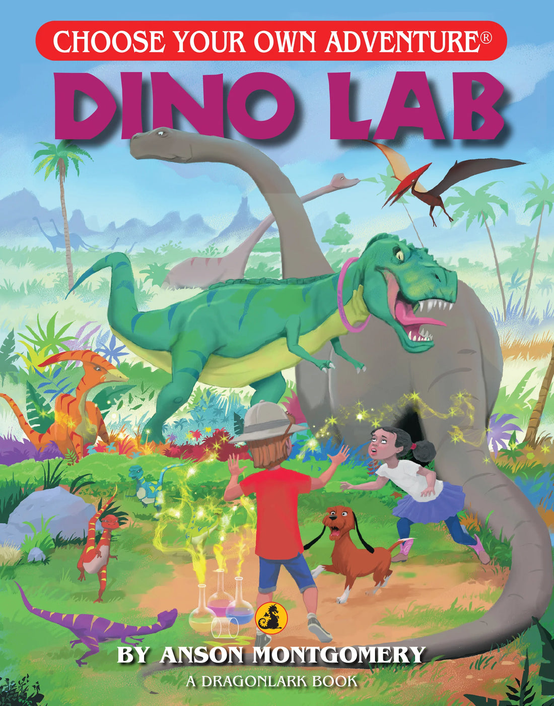 Choose Your Own Adventure Books (Gr 3 Level)