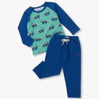 Boys Bronto Glow Raglan Tee and Pull on Pant Set
