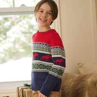 Boys' Holiday Fair Isle Crew Neck Sweater