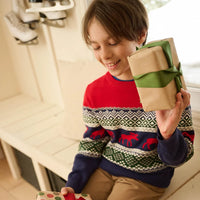 Boys' Holiday Fair Isle Crew Neck Sweater