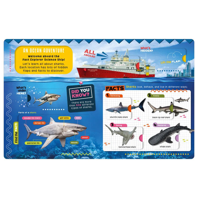 Explorer Sharks Activity Book