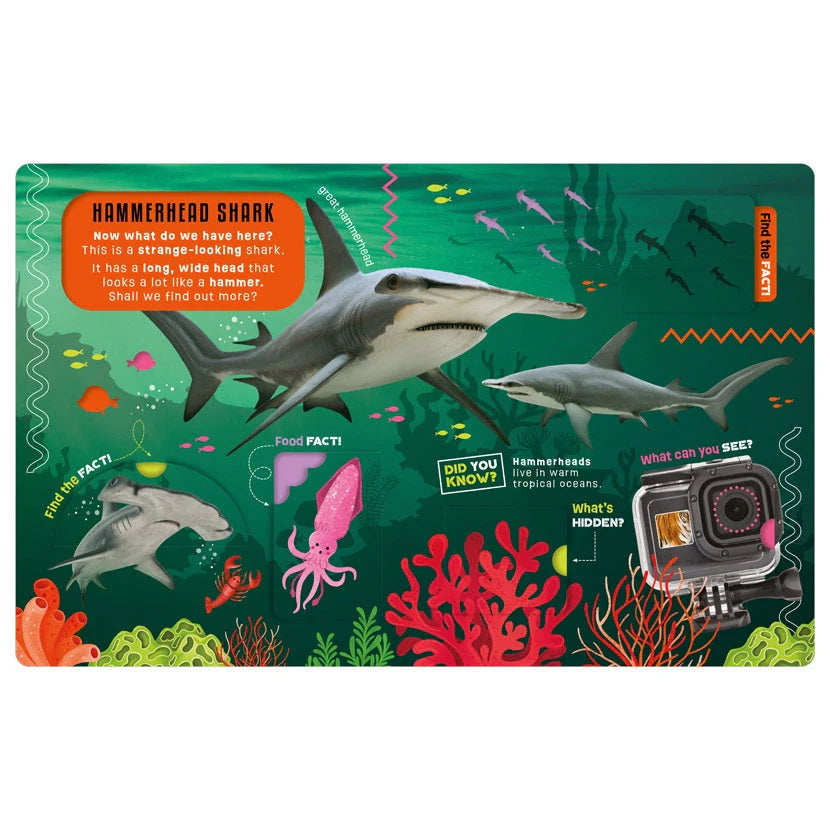 Explorer Sharks Activity Book