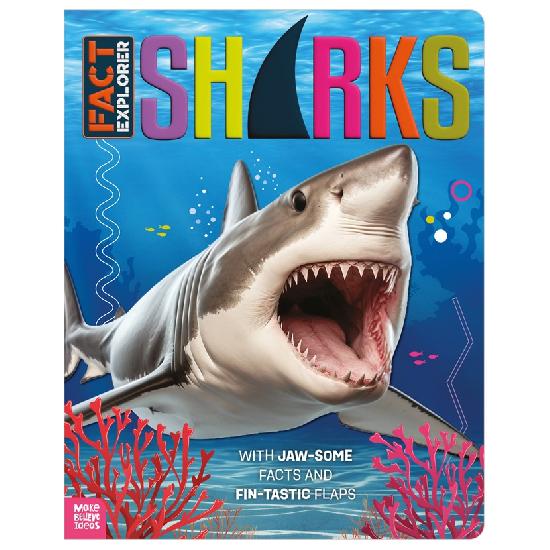 Explorer Sharks Activity Book