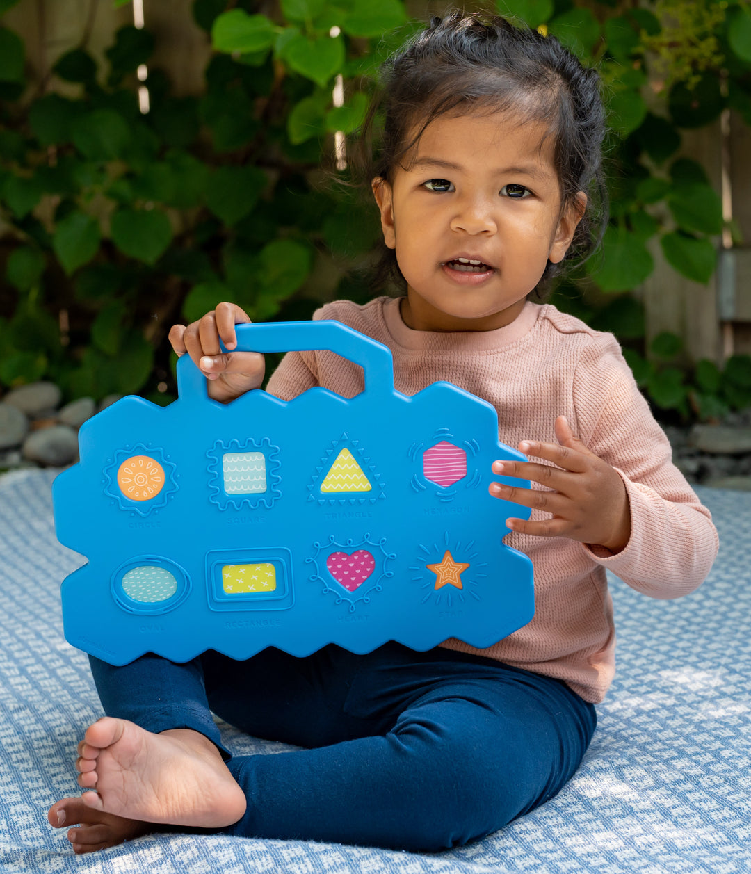 Flipsee Alphabet and Animal Discovery