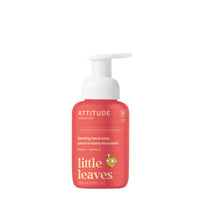 Foaming Hand Soap