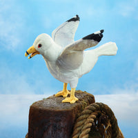 Gull Puppet