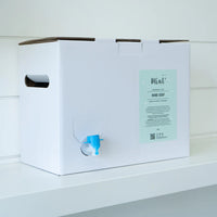 Lemongrass + Mint Hand Soap