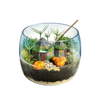 Build Your Own Terrarium