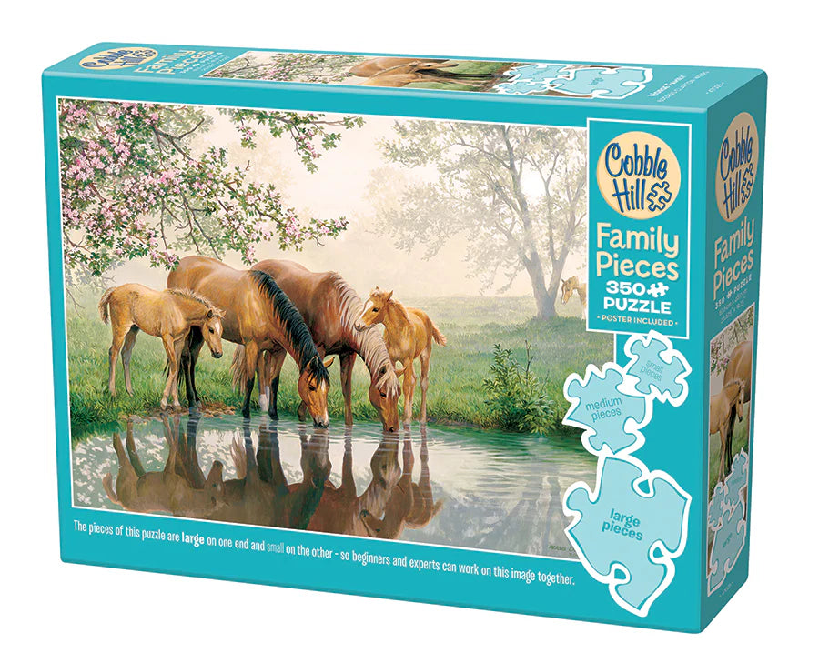350 pieces Family Puzzle