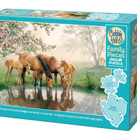 350 pieces Family Puzzle