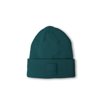 Kingston Beanie
