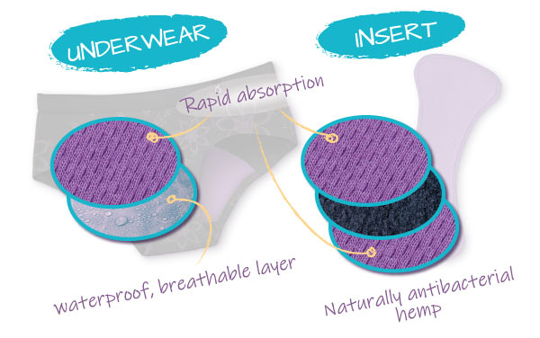 Reusable Period Underwear + Removable Insert