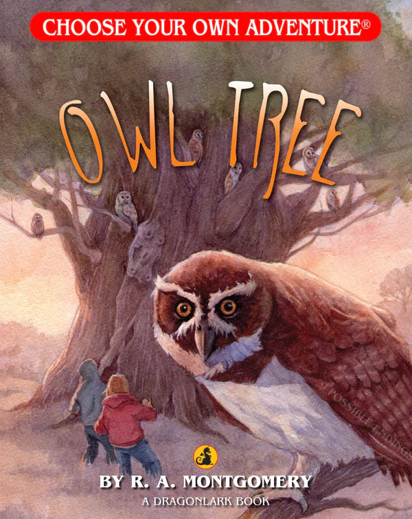 Choose Your Own Adventure Books (Gr 3 Level)