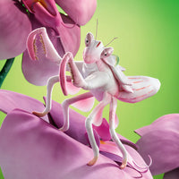 Orchid Mantis Puppet