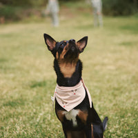 Pet Bandana - Reindeer