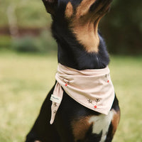 Pet Bandana - Reindeer