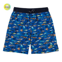 Board Short Swim Shorts (12M-14Y)