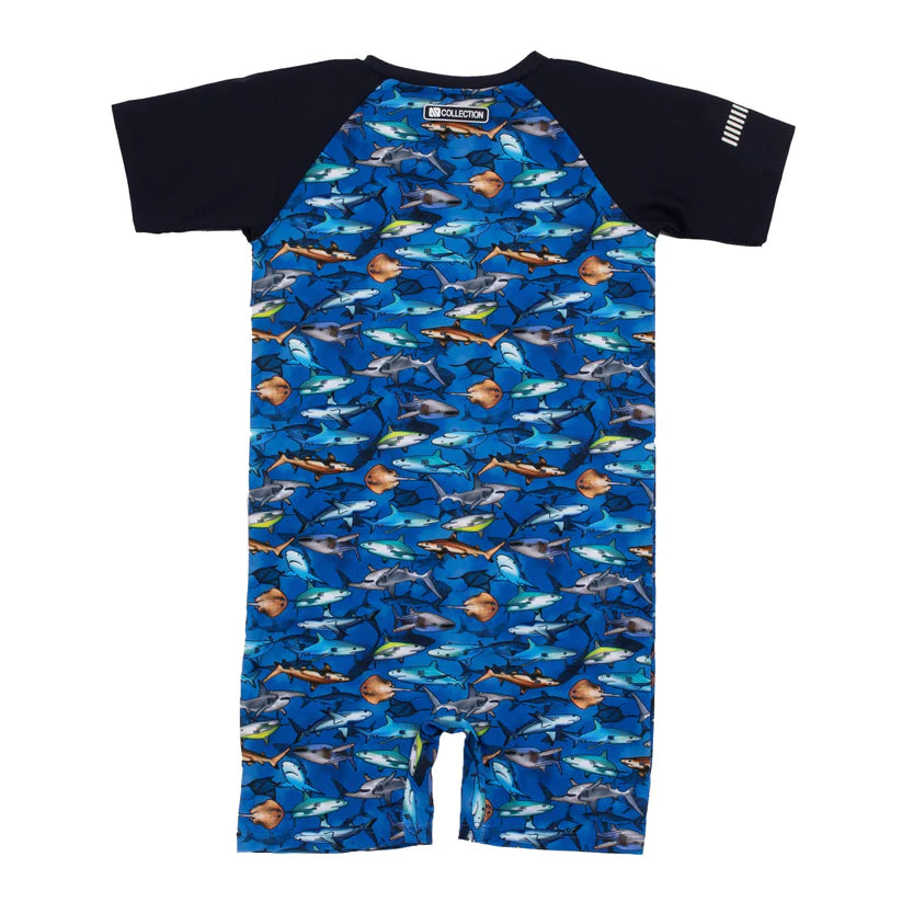 One Piece Short Sleeve Swimsuit (6/9M-4Y)
