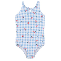 One Piece Blue Checkered Swimsuit