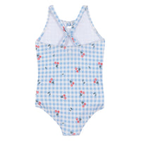 One Piece Blue Checkered Swimsuit