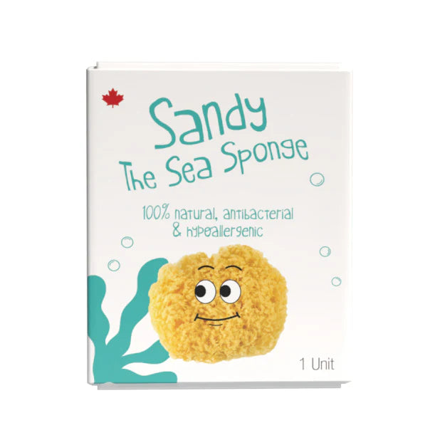 Sandy The Sea Sponge