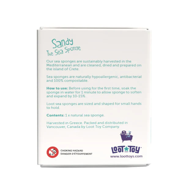 Sandy The Sea Sponge