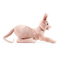 Sphynx Cat Puppet