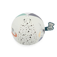 Stimuli: My Ball - Puppy