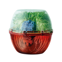 Build Your Own Terrarium
