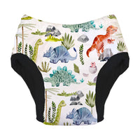 Potty Training Pant