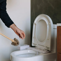 Toilet Bowl Cleaner - 22 Tabs