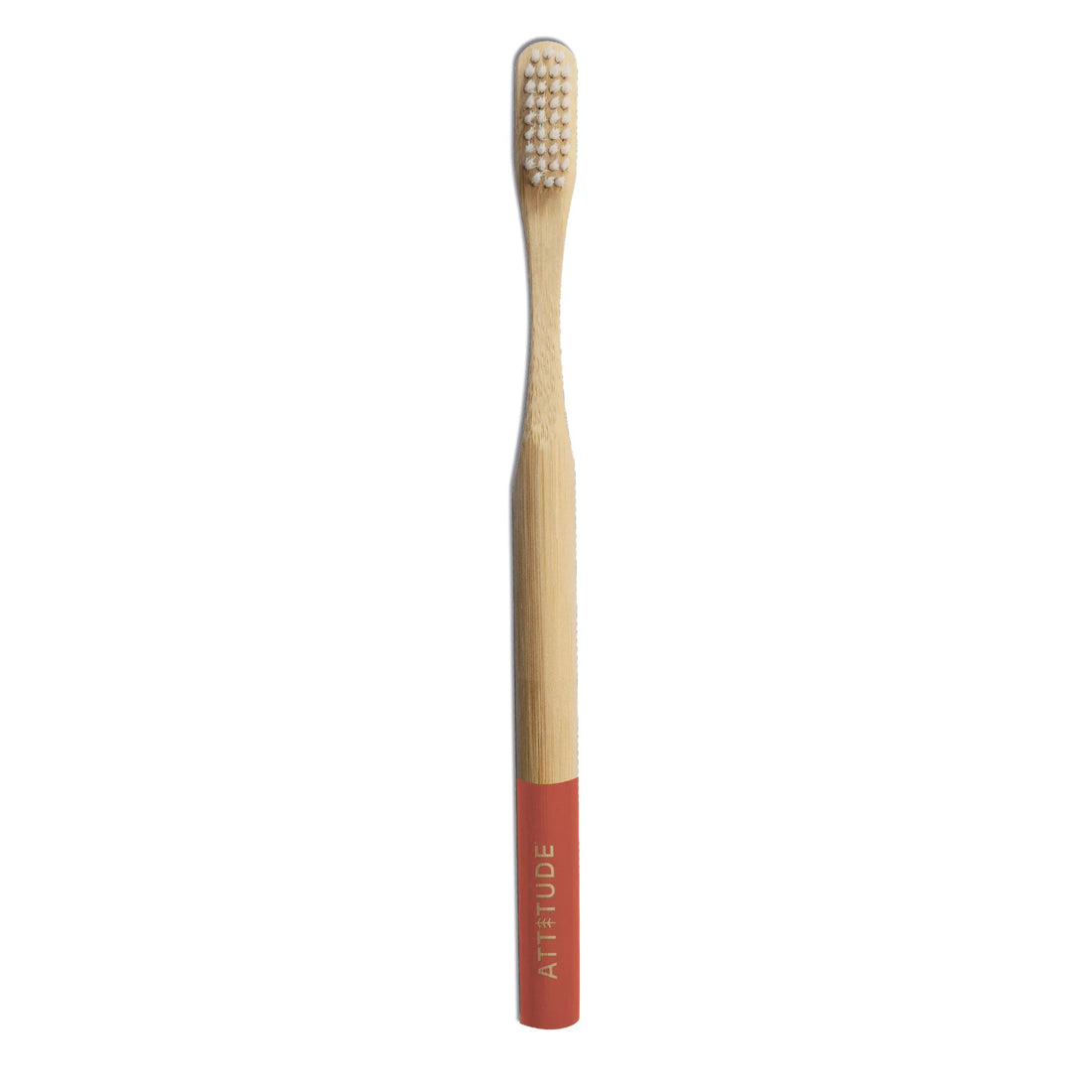 Adult Toothbrush