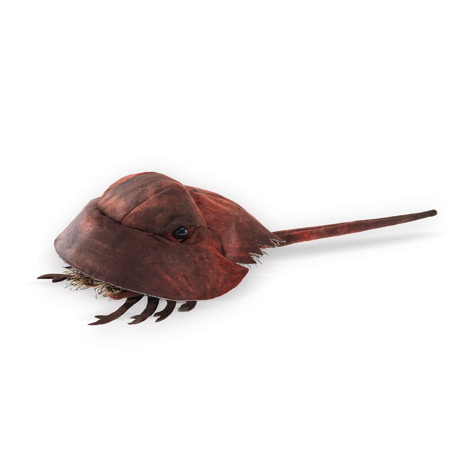 Horseshoe crab plush hotsell
