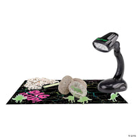 Dig It Up! Glow-in-the-Dark Dinosaurs