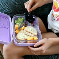 Panino - Sandwich Friendly Leakproof Bento Box